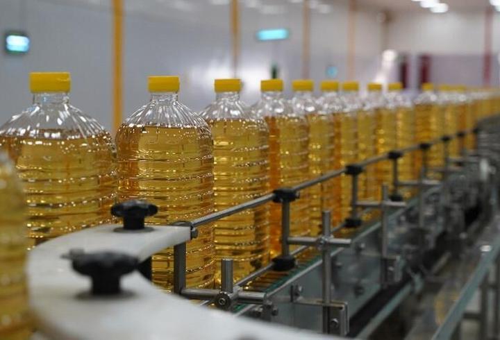 Ayçiçeği ithalatında yeni karar! Ticaret Bakanlığı tarife kontenjanını açıkladı