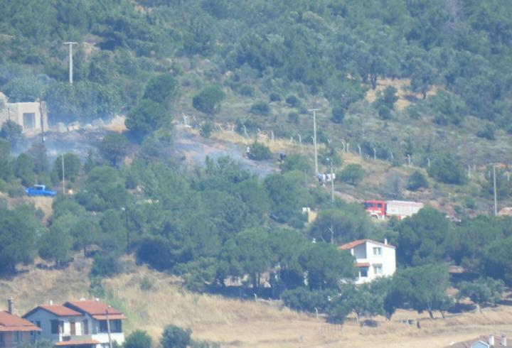 Cunda Adası'nda orman yangını