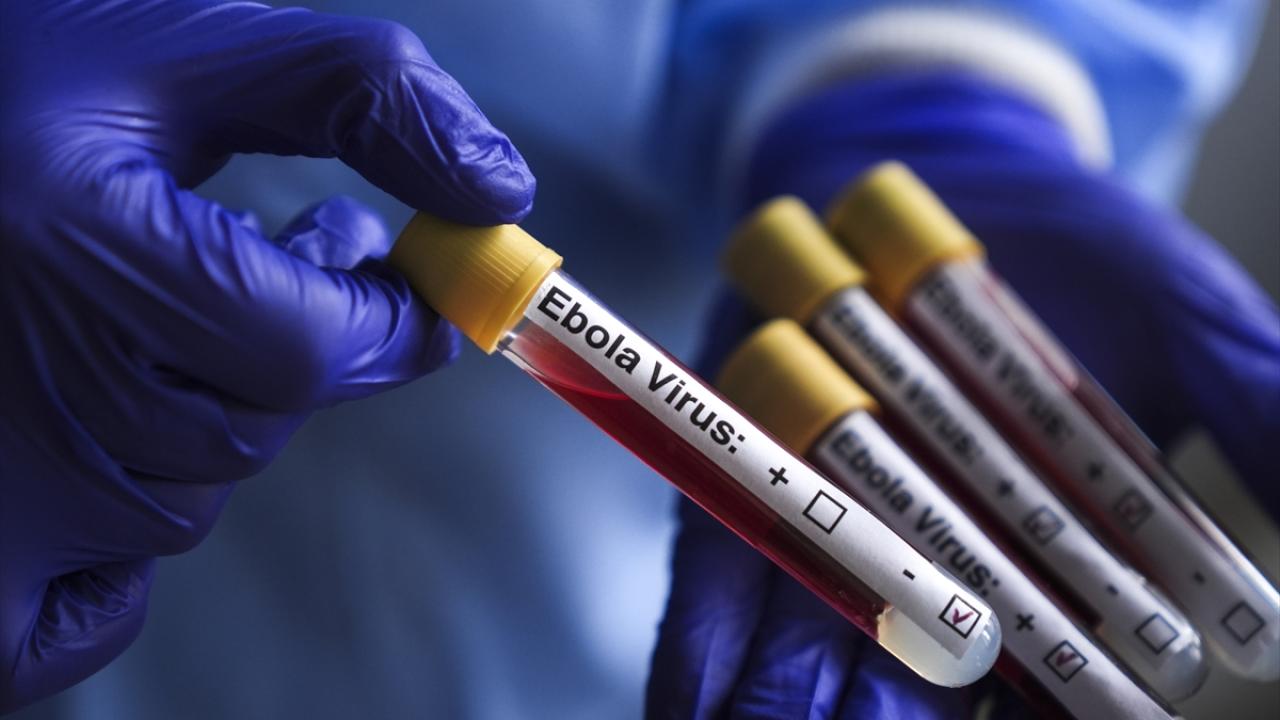 Kongo Demokratik Cumhuriyeti'nde Ebola salgınında vaka sayısı 1561'e yükseldi