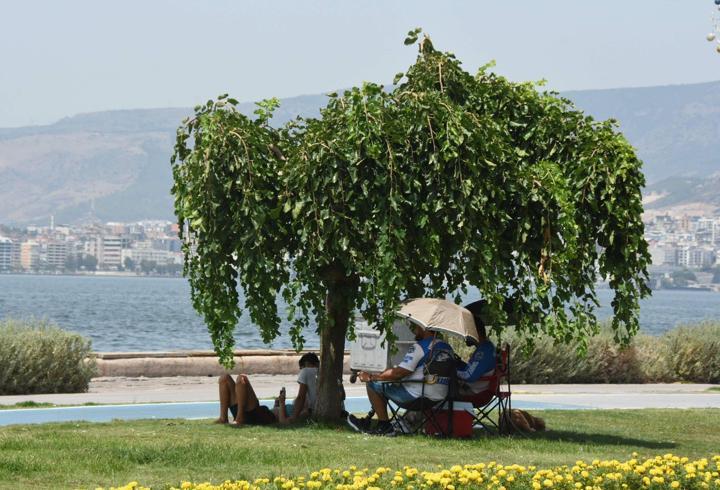 Prof. Dr. Yaşar: İzmir'de bu yaz büyük bir sıcaklık olmayacak