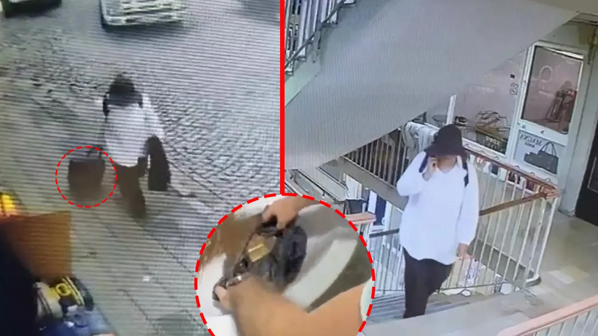 Fatih’te akılalmaz hırsızlık kamerada! Milyonlarca liralık vurgunu 10 dakikada yaptılar: Bavul dolusu altını çalıp