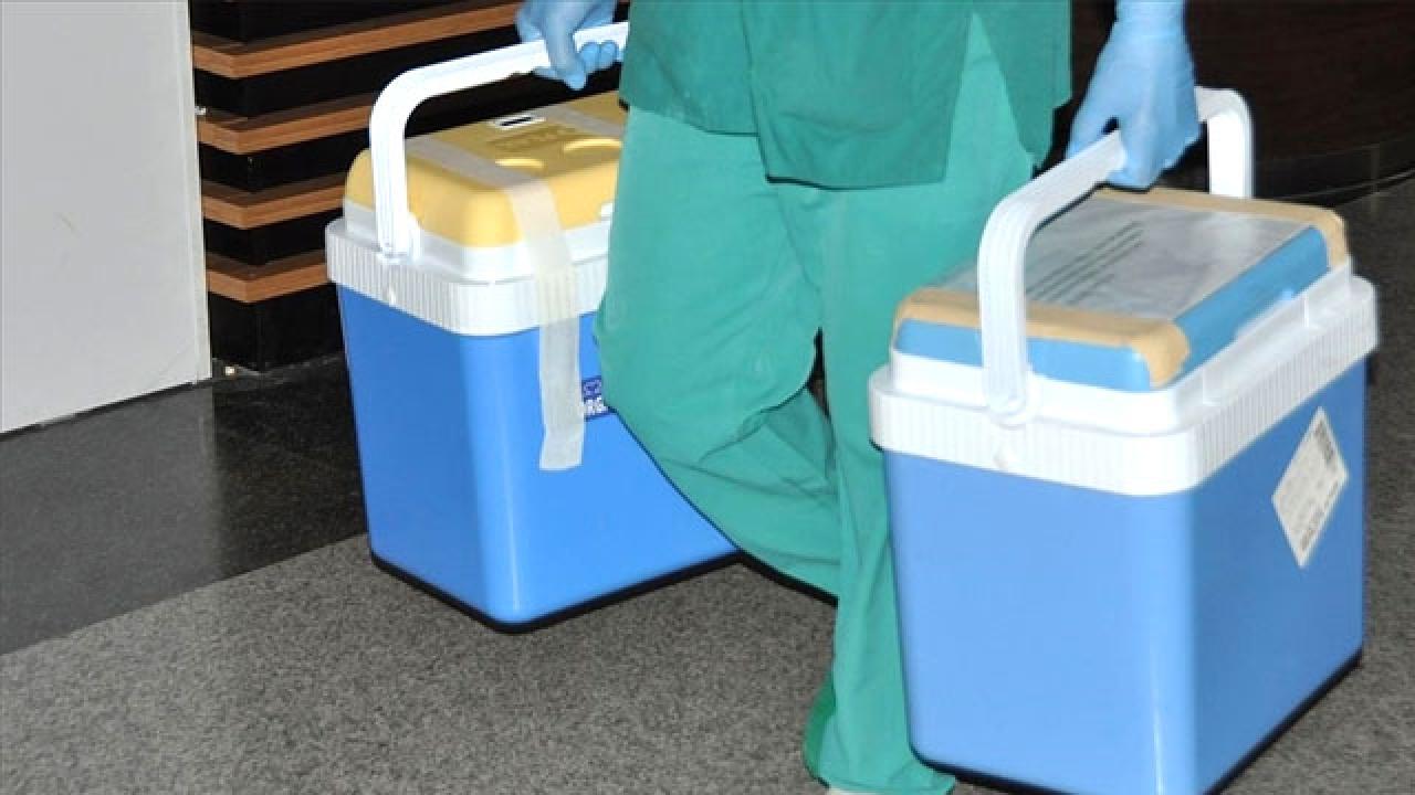 Beyin ölümü gerçekleşen kişinin organları 4 hastaya umut oldu