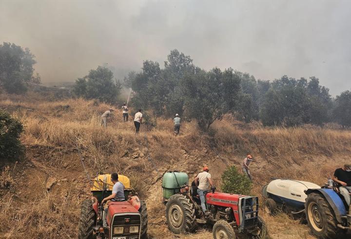 SON DAKİKA... Valilikten açıklama geldi! Yangının çıkış sebebi belli oldu