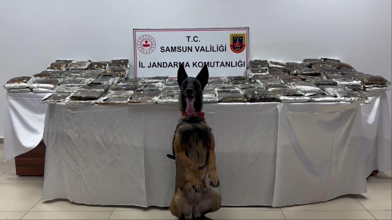 Samsun'da bir tırda 132 kilogram uyuşturucu ele geçirildi