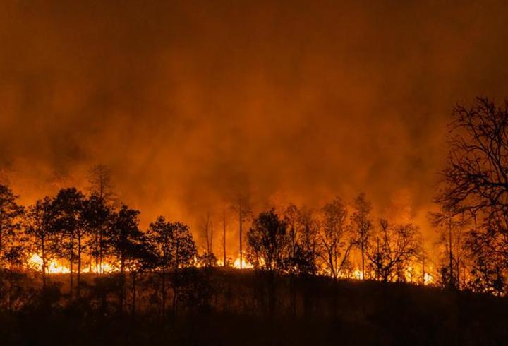 Yunanistan'da yangın alarmı: Ekipler 73 noktada mücadele ediyor