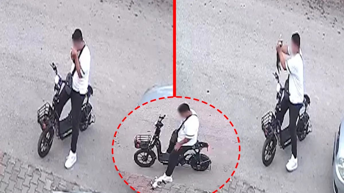 Bolu'da yavru kedi vahşeti! Önce öptü sonra boğdu: Dehşet anları kameraya yansıdı