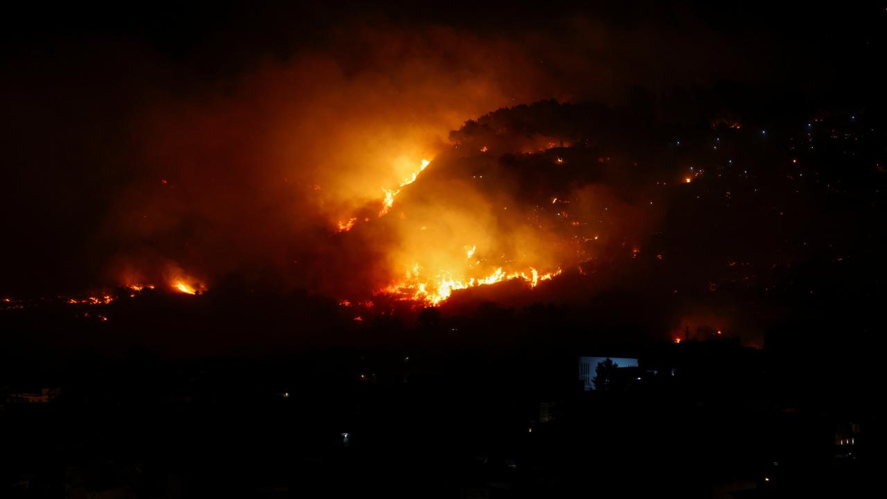 WWF: İtalya'da bu yaz çıkan orman yangınlarında 70 bin hektar alan kül oldu