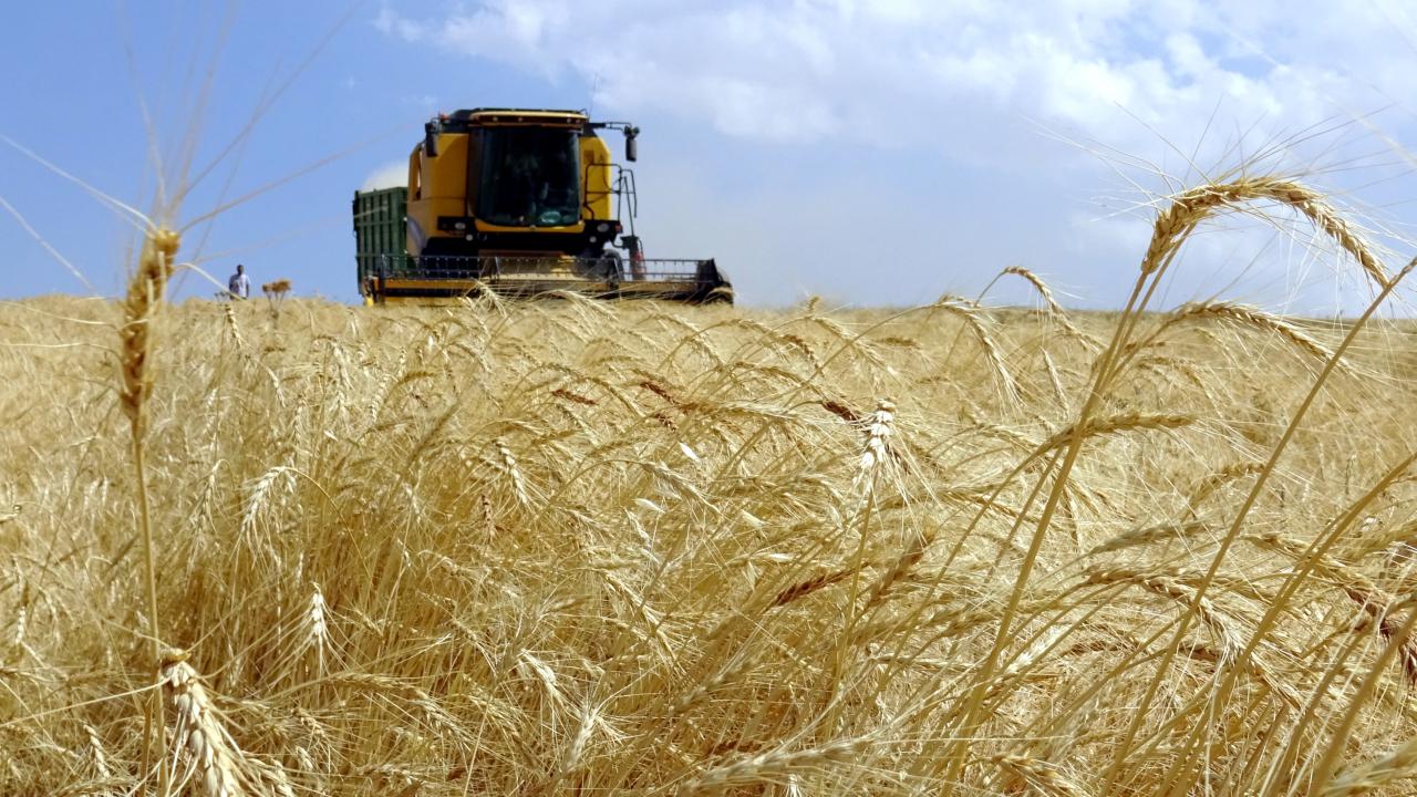 IPARDIII kapsamında üretici ve yatırımcılara 634,3 milyon lira ödeme yapıldı