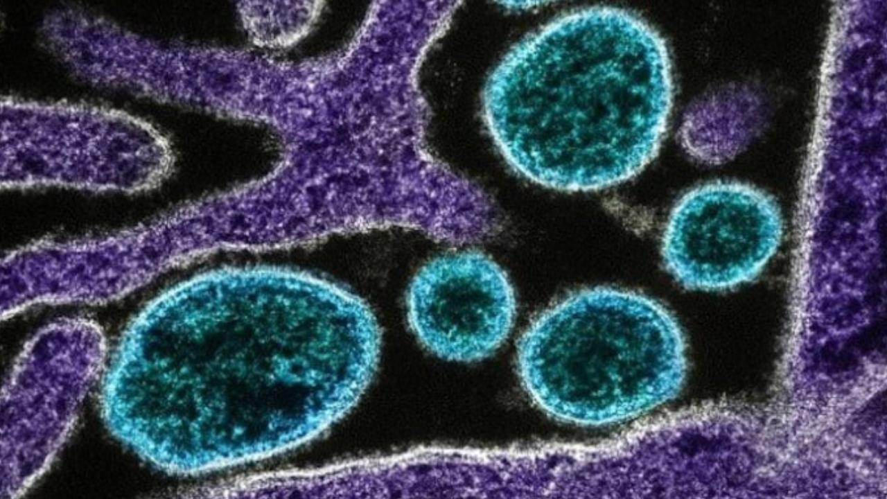 Yapay zeka tamamen yeni virüsler tasarlamak için kullanıldı