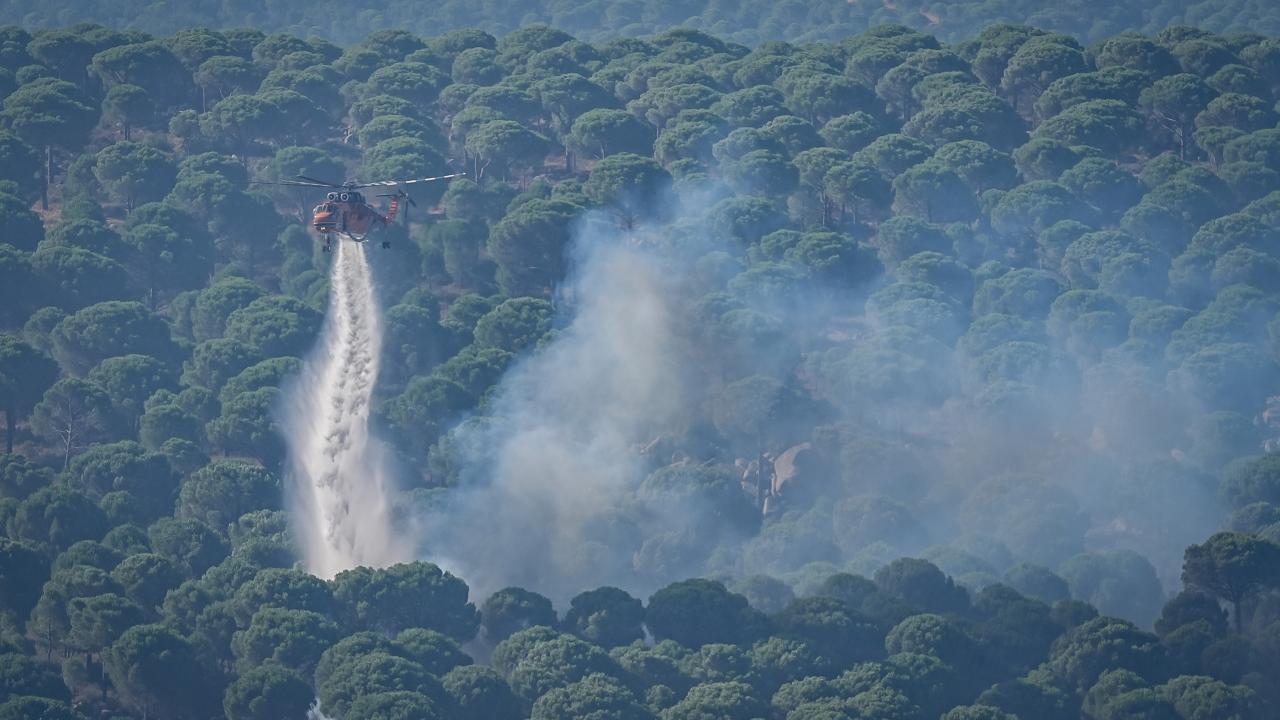 1 Haziran'dan bugüne kadar çıkan yangınlarda 9 tutuklama