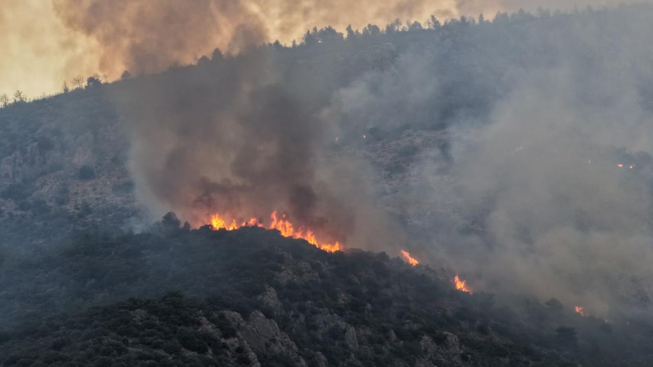 Manisa'da çıkan orman yangınına müdahale ediliyor