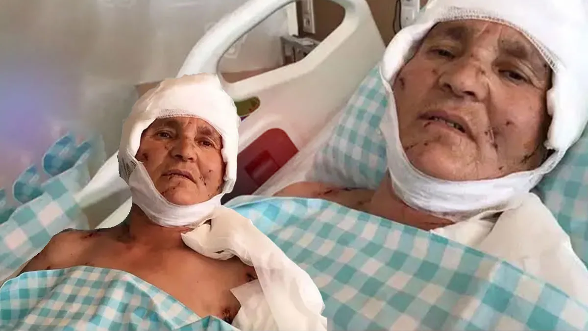 Yargıtay’dan emsal karar! Sürü halindeki köpekler yaşlı kadına saldırdı: Dudak uçuklatan tazminat onandı!