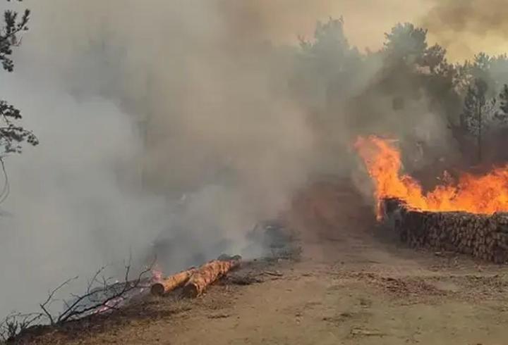 Bolu'da korkutan orman yangını