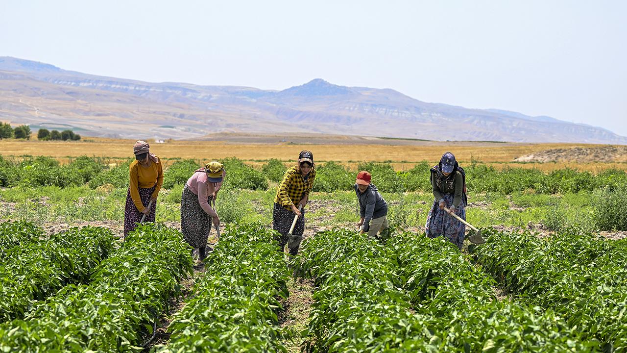 2,9 milyon çiftçiye 6 ayda 106 milyar lira destek