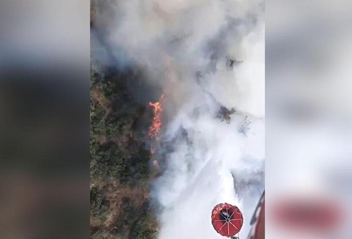 Balıkesir ve Bolu'da orman yangını