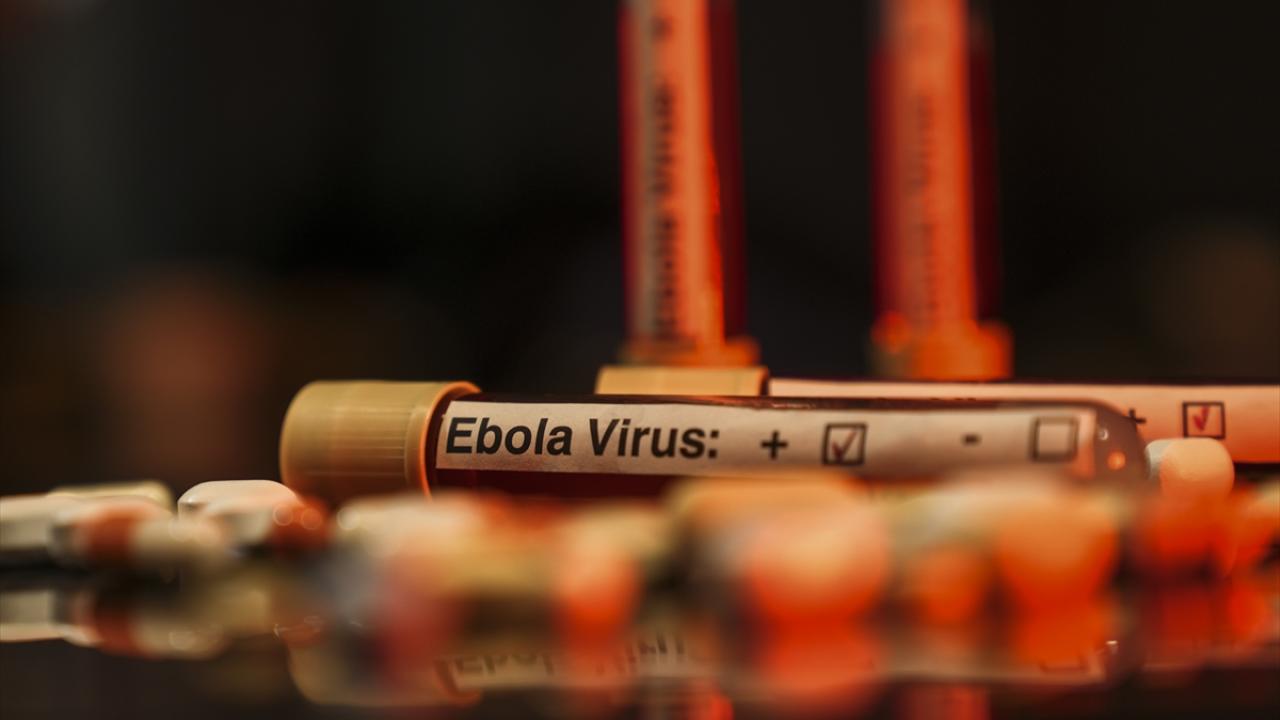 DSÖ: KDC'deki Ebola salgınında genel risk çok yüksek