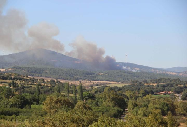 Çanakkale'de orman yangını