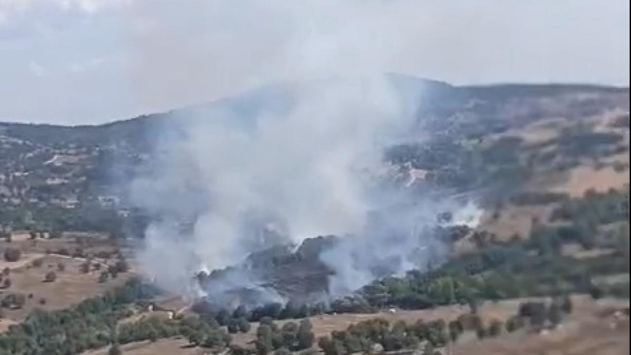 Bursa'da çıkan orman yangını kontrol altına alındı