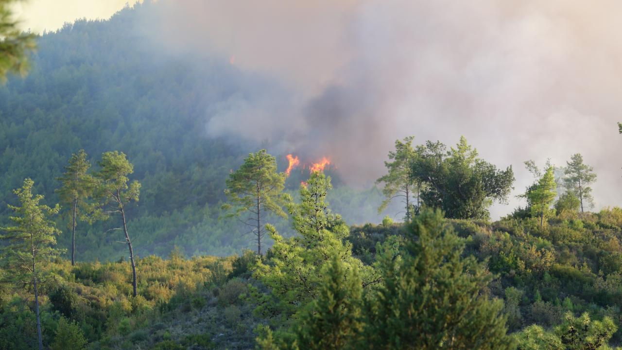 Antalya Serik'teki yangının enerjisi düşürüldü