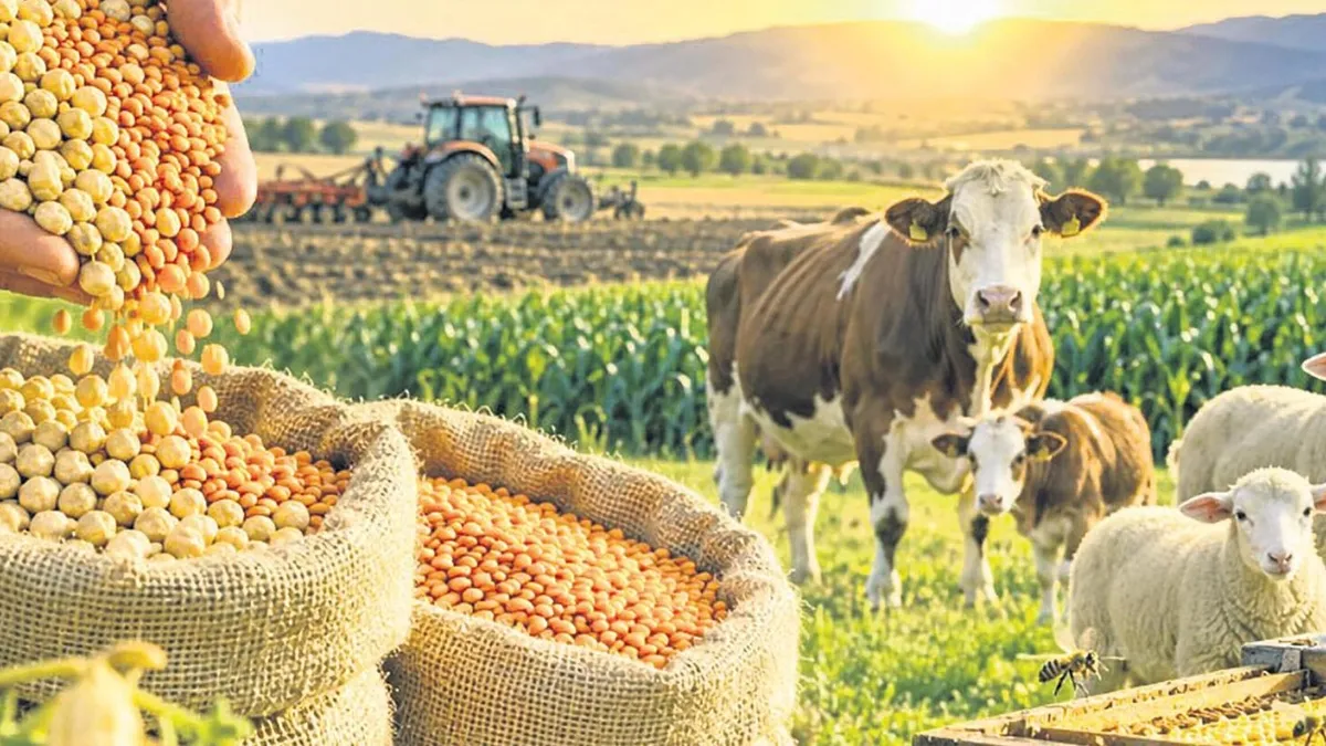Tarım desteğinde yeni dönem başladı