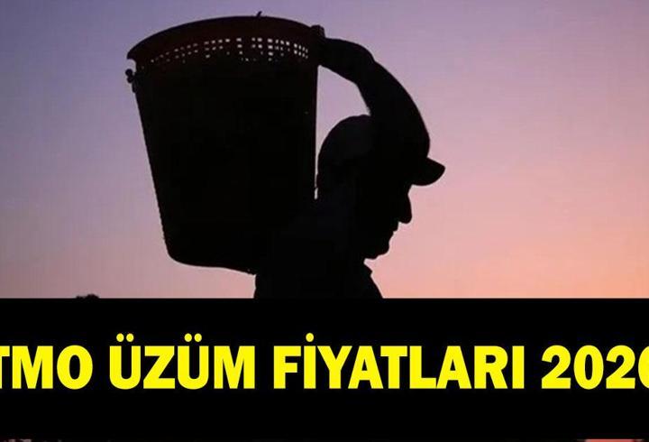 TMO ÜZÜM FİYATLARI 2026: Kuru üzüm fiyatları ne kadar oldu?