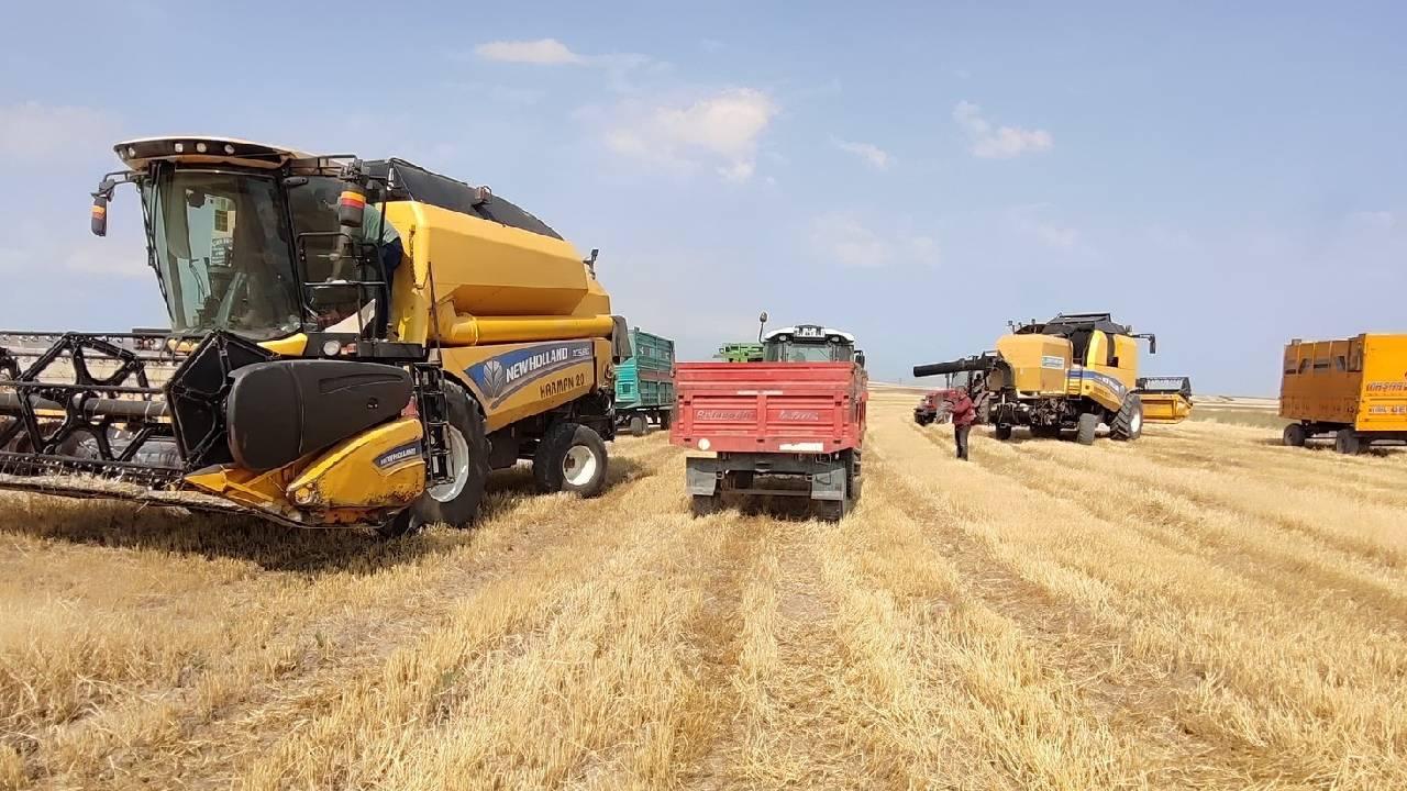 Türkiye'nin tarım ürünleri ihracatı tüm zamanların en yüksek seviyesinde