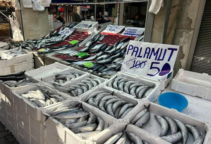 Balık tezgahlarında palamut bolluğu